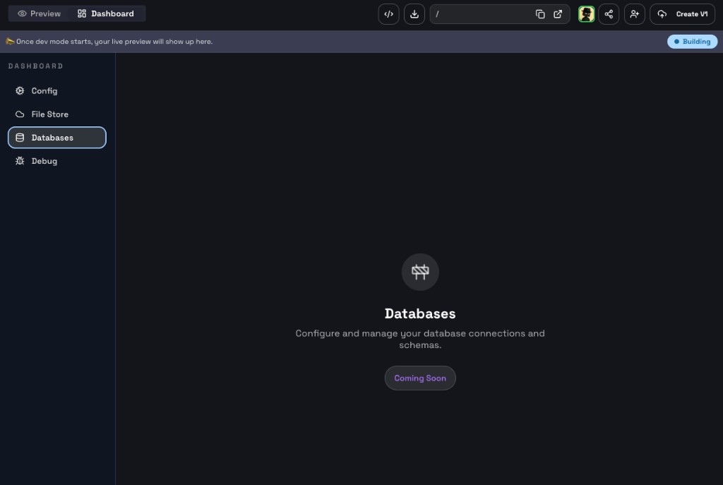 Dashboard Databases section — Coming Soon